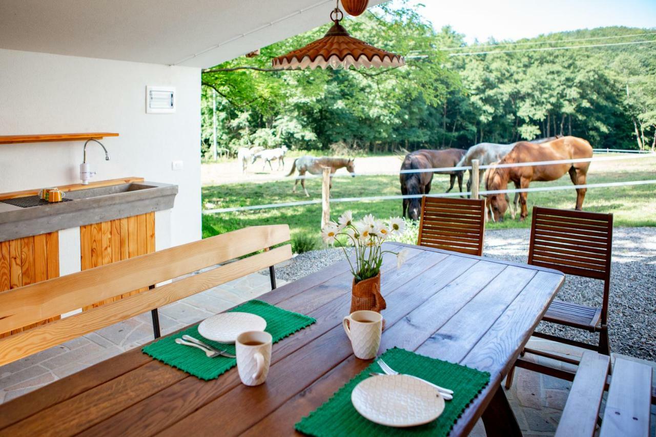 Farm Volk Villa Suhorje Buitenkant foto